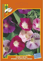 Geniki Fytotechniki Athinon Semințe Ipomoea