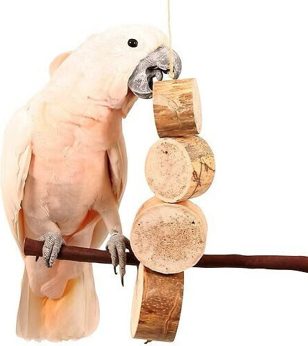 Τεράστιο Bird Kabob Φυσικό Παιχνίδι Παπαγάλου 48x10εκ