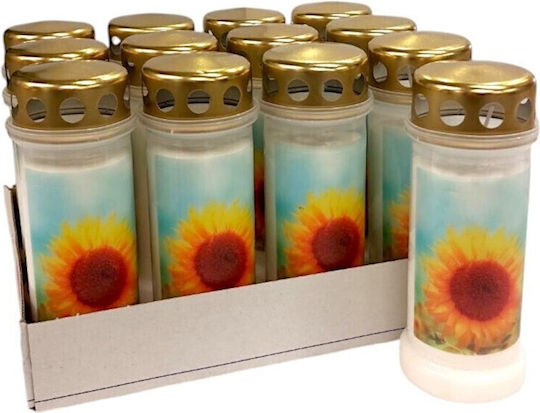 Bolsius Long-lasting Candle 70 Hours Lid Sunflower Box 12pcs