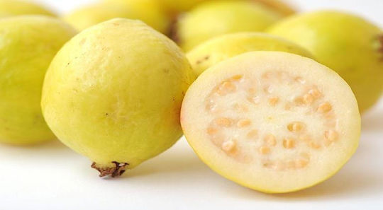 Guava Lemon
