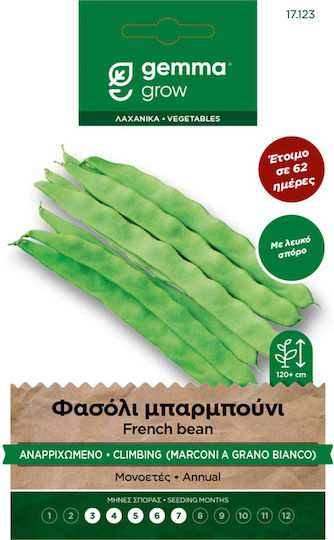 Gemma Samen Bohne Barbouni 10gr