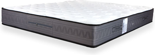 Polo Double Anatomic Saltea 140x200x24cm