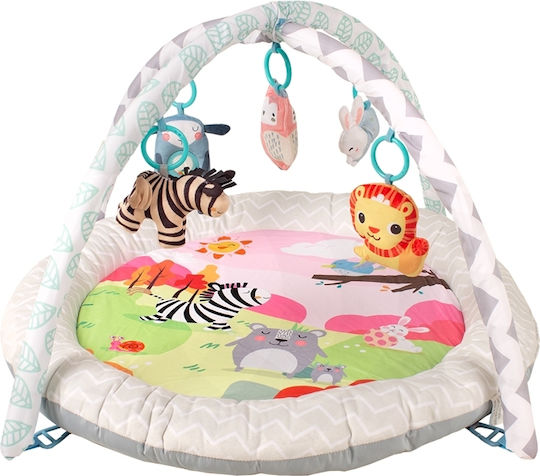 BabyTrold Sală de Activități pentru 0++ Luni