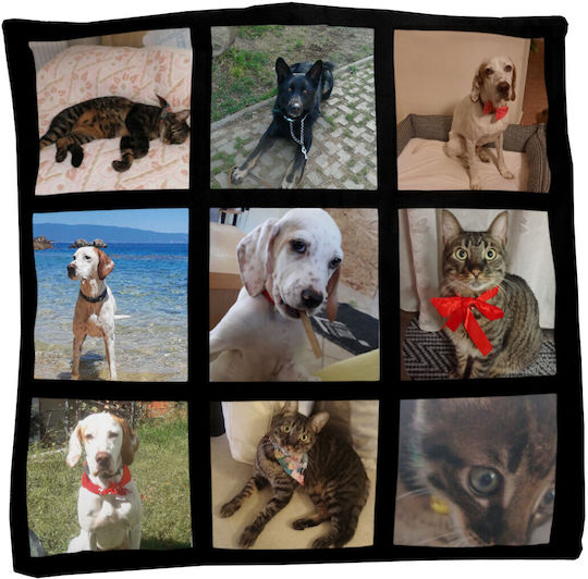 Μαξιλαράκια Φωτογραφία Κατοικίδια Pet Lover