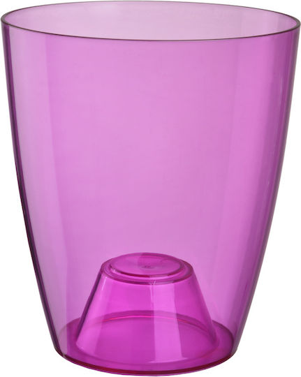 Ghiveci mic Ghiveci Plastic Transparent Violet