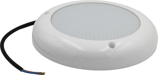 Adeleq Pool-Scheinwerfer mit Blau Licht 3-33332441