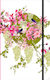 Pictura Notebook Ruled 1pcs