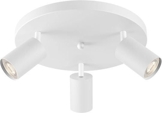 Braytron Triple Spot in White Color