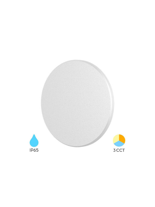 Braytron Wandmontierte Schottwand Außenbeleuchtung LED IP65 mit Einstellbarem Weißem Licht