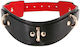 Ns Novelties Halsband in Schwarz Farbe