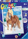 Ravensburger Malsets 24x18cm