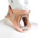 Medical Brace Аυχеняк Яка Тип Филаделфия MB.175
