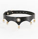 Ns Novelties Halsband in Schwarz Farbe