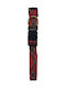 Zolux Collar Black 16mm