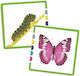 Akros Educational Game 68 Matching Cards Images 3-8 Years 20530