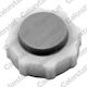 Ταπα Ψυγειου Renault Clio-espace-laguna-megane-trafic Rc0018-215