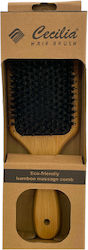 Beauty Salon Hair Brush Beauty Salon Hair Brush