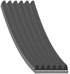 Alternator Belt Insignia A16+18xer 6pkx1557mm Alternator Belt Insignia A16+18xer 6pkx1557mm