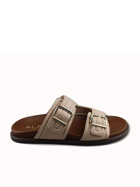 Alpe Alpe