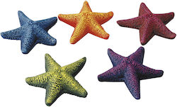 Aqua Della Starfish