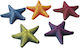 Aqua Della Starfish