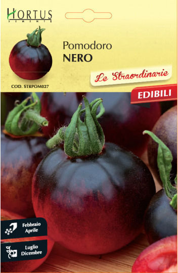 Hortus Sementi Samen Tomateς Schwarz