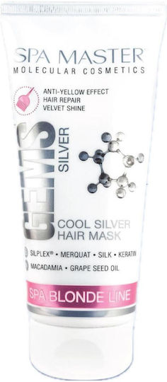 Silver Spa Master Gems Kühles Silber Haarmaske gegen Vergilbung 200ml