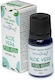 Αλόη Βέρα Aloe Vera 10ml Stamford's Premium