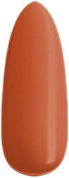 Elixir Semigel Ojă Pentru Unghii Cu Gel 1010 5ml
