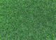 Synthetic Turf in Roll 1x4m and 35mm Height