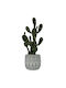 Artificial Cactus Ceramic Pot
