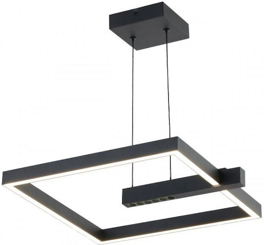 Spot Light Spot Light Black LED Ceiling Light with Warm White Light