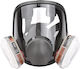Mask Full Face