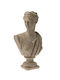 Bust Fată Poliester Bej 18x10.7x31cm