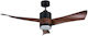 Primo Primo Ceiling Fan 137cm with Light Fixture Brown / Black