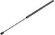 Motorhaubendämpfer Mitsubishi Space Star 1998-2005 555mm/450n Orig.mr248939 Nty 1 Stk Ae-ms-002