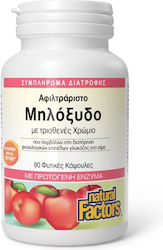 Natural Factors 500mg 90 Kapseln