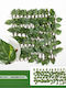 Artificial Foliage in Trellis 20x70cm
