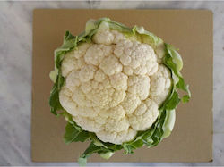 Geniki Fytotechniki Athinon Seeds Cauliflower L...