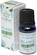 Stamford London Ätherisches Öl 10ml