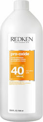 Entwicklercreme Redken Pro-oxide 1 L Entwicklercreme Redken Pro-oxide 1 L