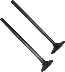 Valve Pair Piaggio Beverly 300 Gts 300