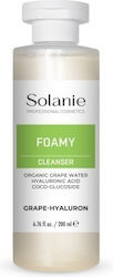 Solanie Antioxidant Αφρός Καθαρισμού Προσώπου 200ml Solanie Antioxidant Αφρός Καθαρισμού Προσώπου 200ml