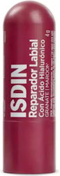 Isdin Repairer Lippen Balsam Granate #granate 4gr