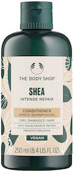 The Body Shop Shea Haarspülung 250ml The Body Shop Shea Haarspülung 250ml