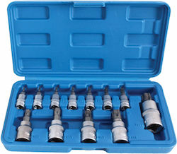 Techman Καρυδάκια Torx με Καρέ Υποδοχής 1/2" Σετ 13τμχ