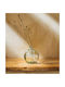 Gofis Home Decorative Vase White 17cm
