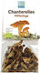 Pural Βιολογικά Μανιτάρια Chanterelles 20g 17614