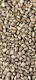 Berg Athos Weihrauch Gold 100g