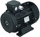 Ravel Single-Phase Electric motor 4hp Maximum Revolutions 1450rpm 220V